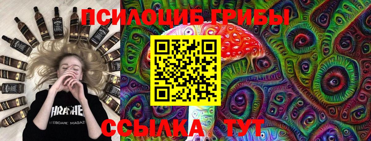 Псилоцибиновые грибы Cubensis Осинники