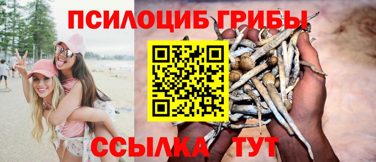 Галлюциногенные грибы прущие грибы  что такое наркотик  Осинники  Вход с VPN 